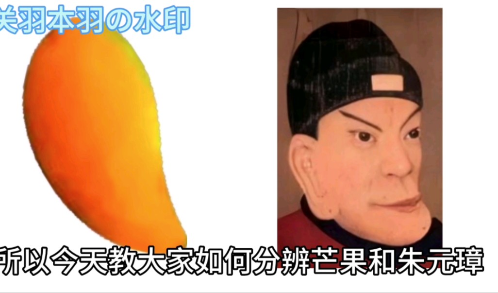 如何分辨芒果和朱元璋?(02﹃0202)