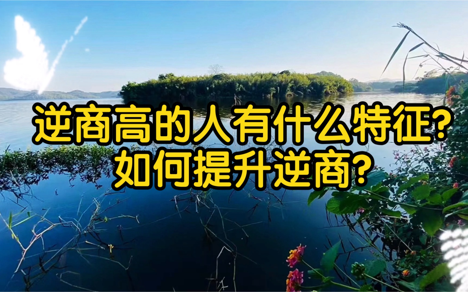 [图]逆商高，才有更加成功和幸福的人生！逆商高的人有什么特征？如何提升逆商？