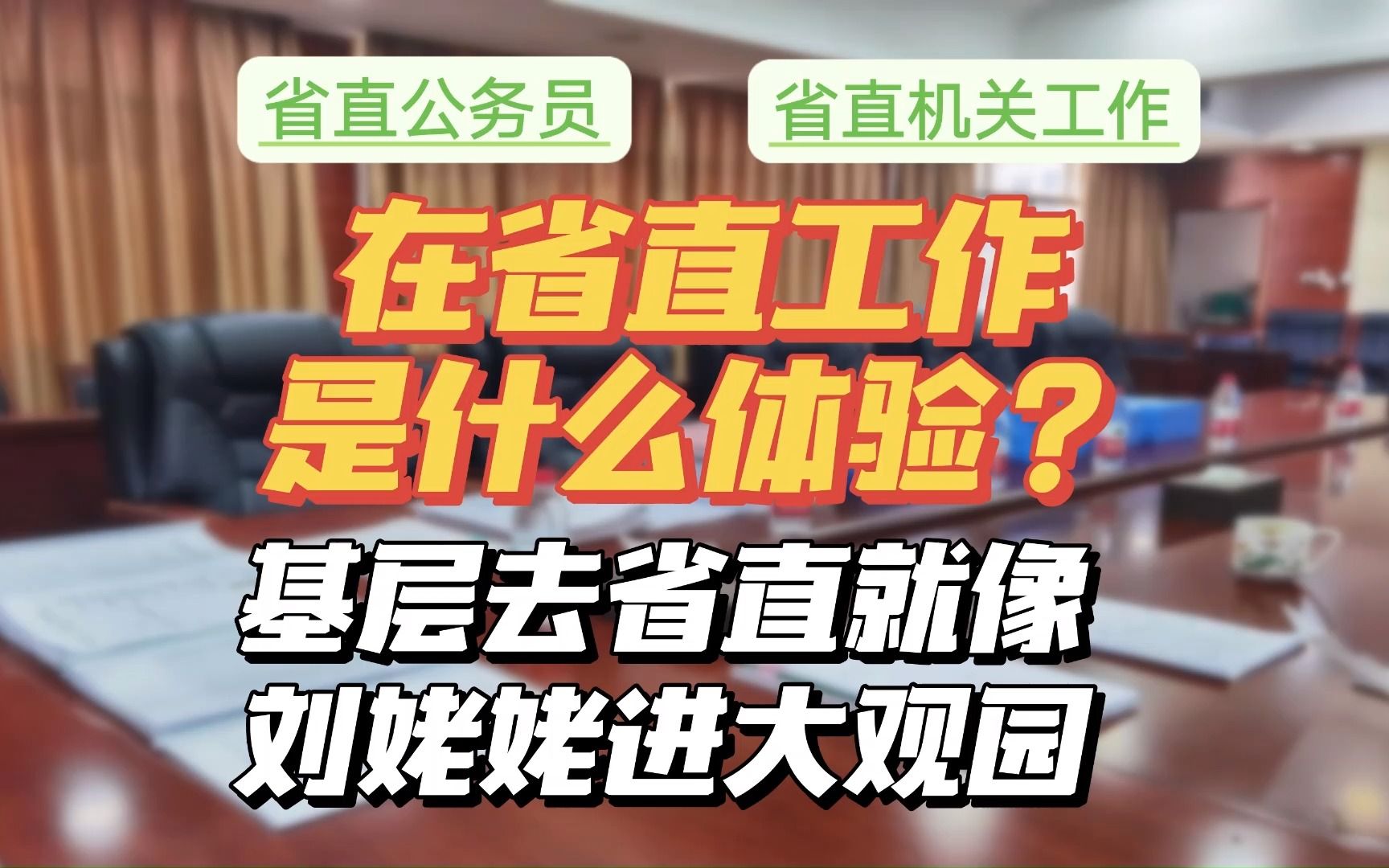 在省直工作是什么体验?基层去省直就像刘姥姥进了大观园 |省直公务员|省直机关工作|哔哩哔哩bilibili