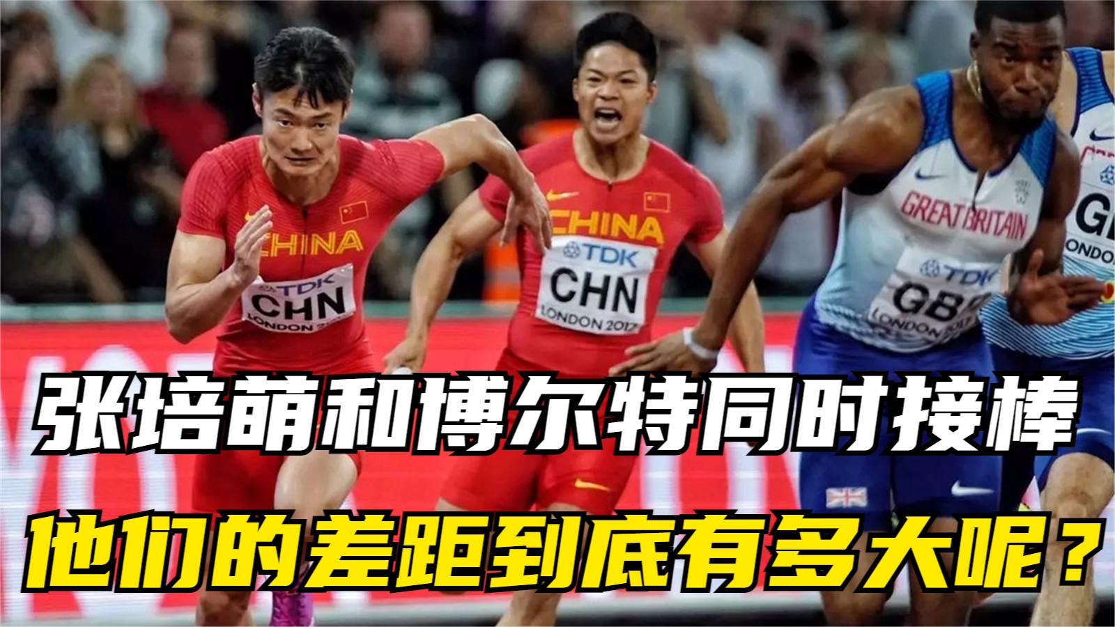 张培萌和博尔特几乎同时接棒,那么他们之间的差距到底有多大呢