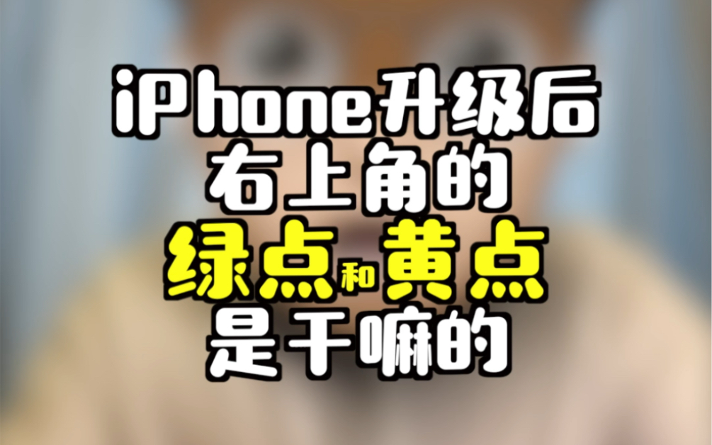 iPhone升级到iOS14后,右上角的绿点和黄点是干嘛的?哔哩哔哩bilibili