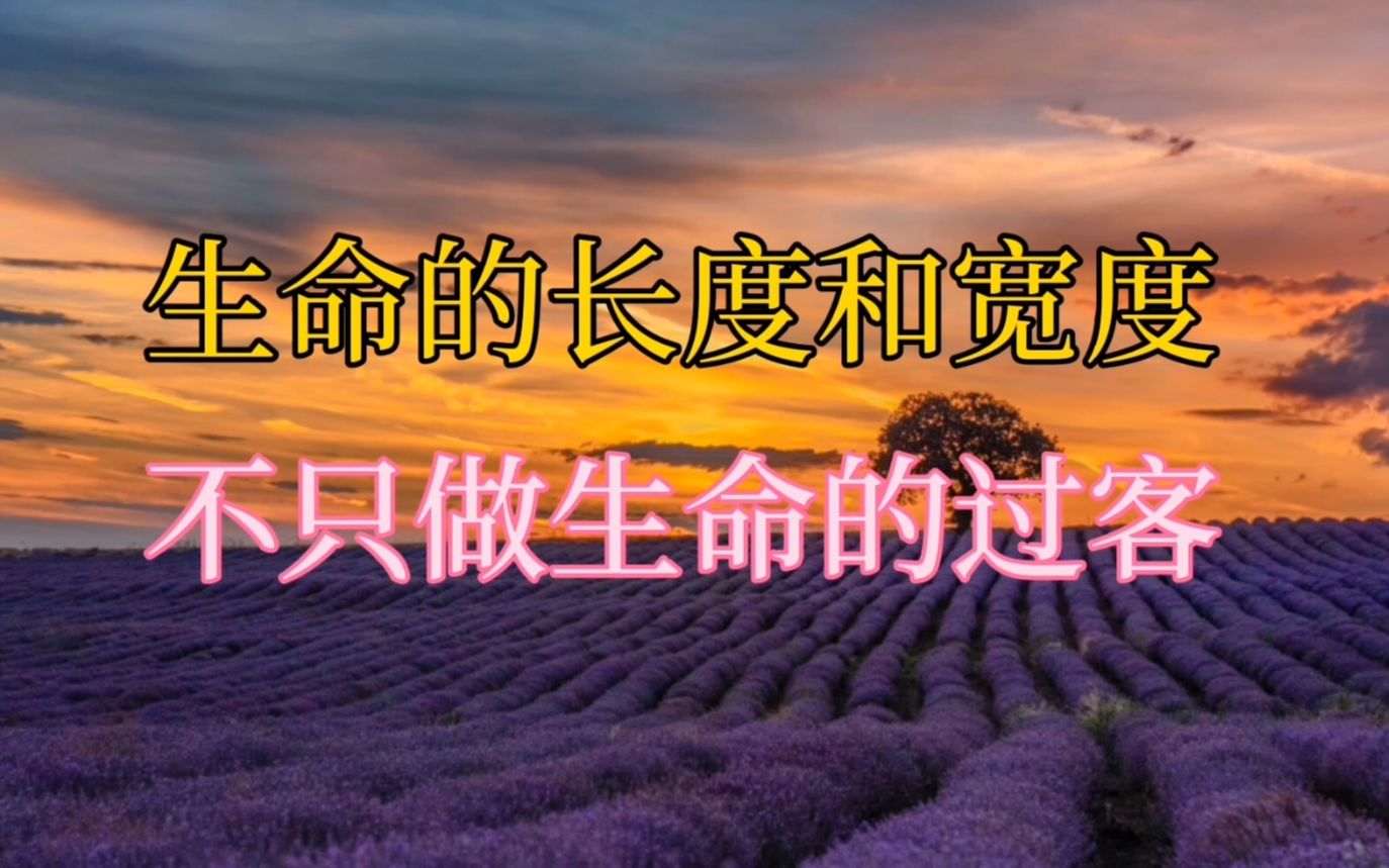 从相亲节目中博士女嘉宾的选择,看生命的宽度;不只做生命的过客