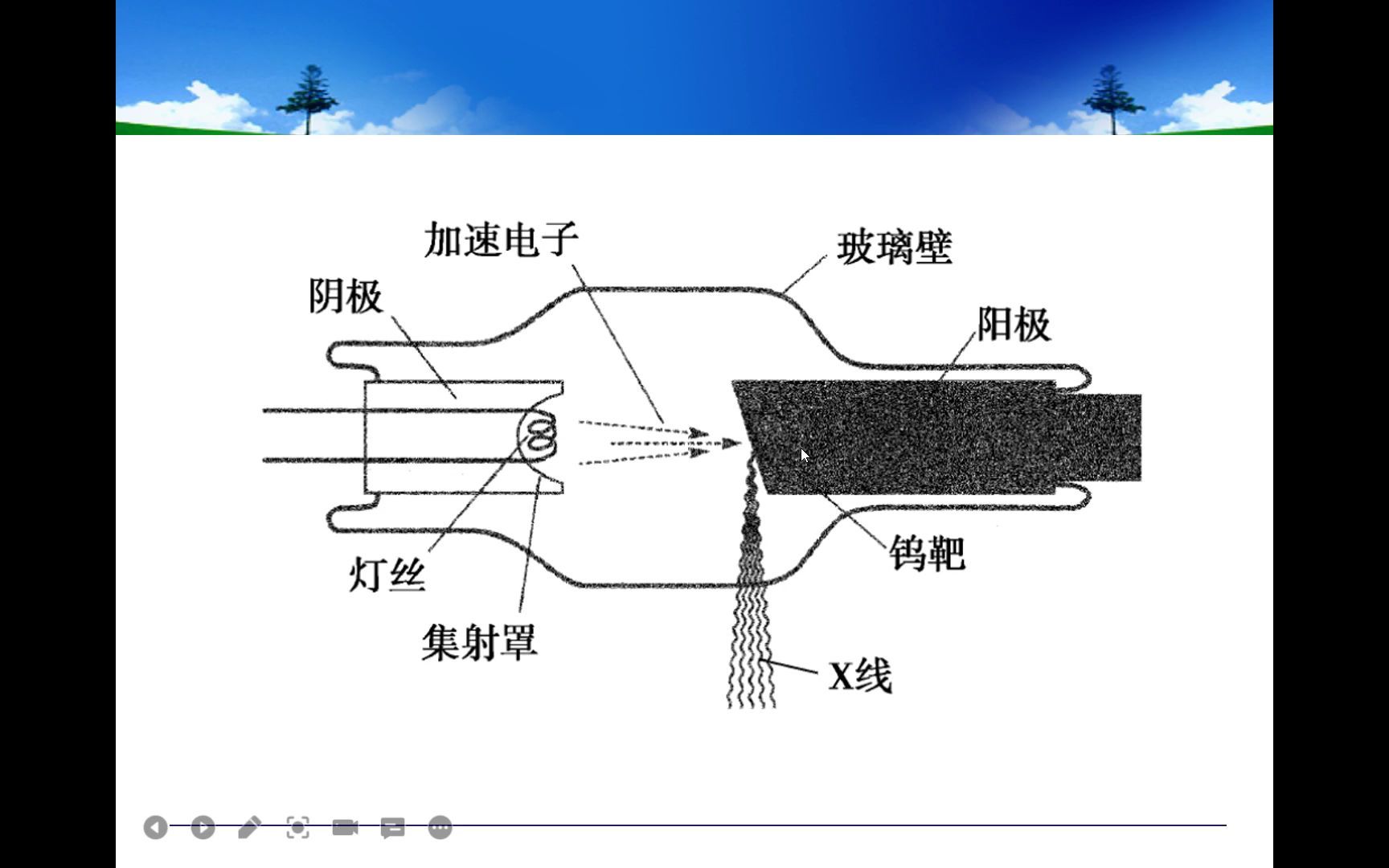 376,206,104基础知识 x线物理和防护 第一节x线产生 第一节考点5:x线强度空间分布哔哩哔哩bilibili