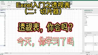 Excel入门之透视表（二：切片器）