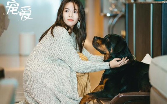 电影宠爱陈伟霆x钟楚曦cut02豪七我们是合法领证夫妻