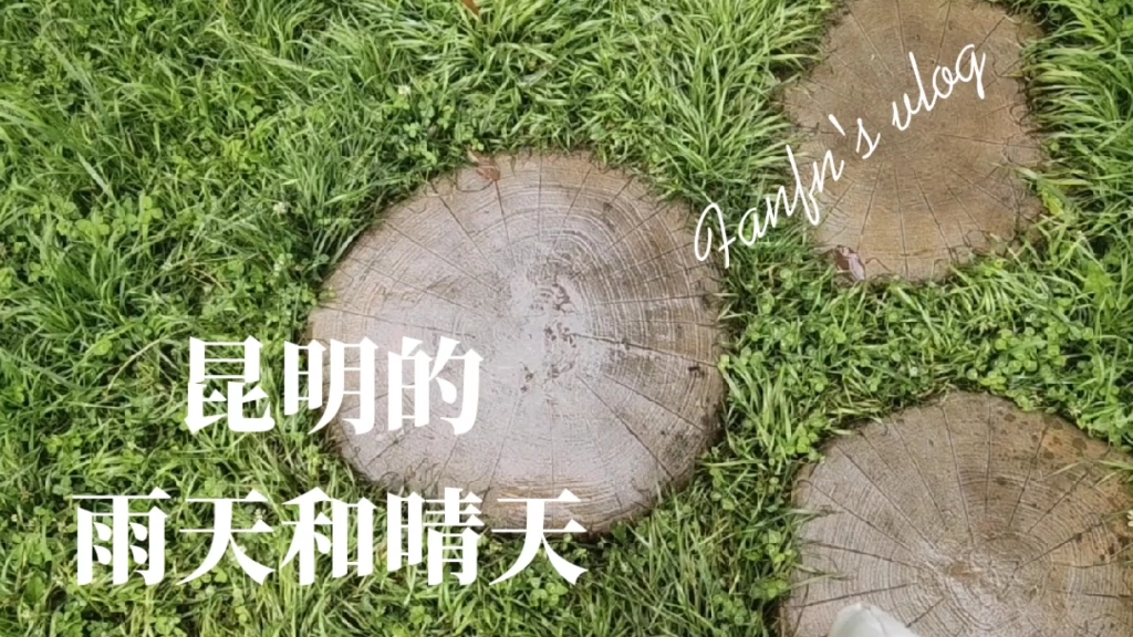 昆明的雨天和晴天青花瓷