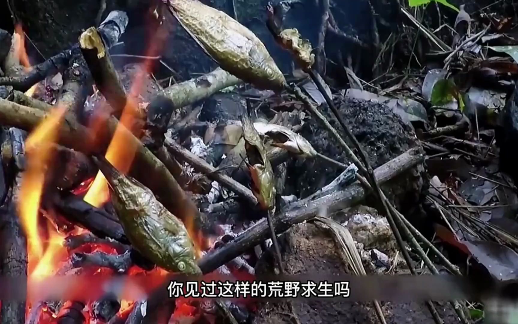 中国内地荒野求生第一人麻雀姐, 全裸东南亚原始丛林生存100天