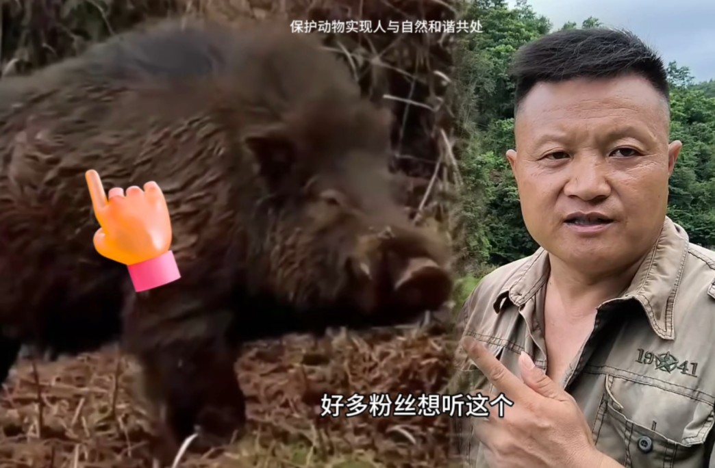 野猪机油位置在哪