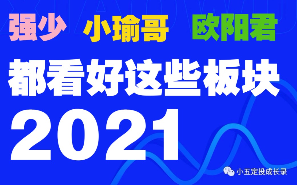 强少,小瑜哥,欧阳君,2021都看好这些板块!哔哩哔哩bilibili