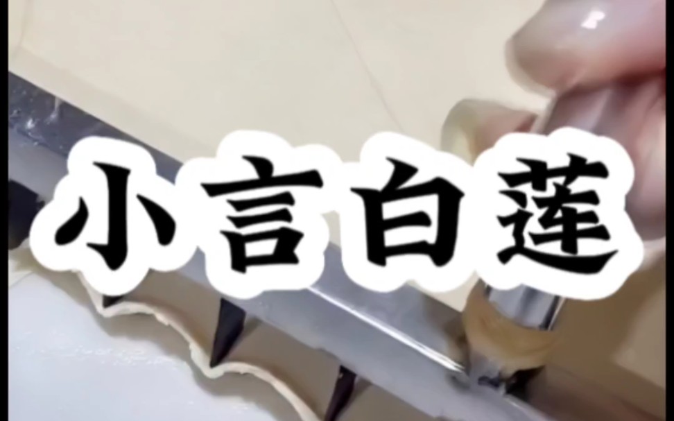 【小言白莲】9.8分完结文推荐哔哩哔哩bilibili