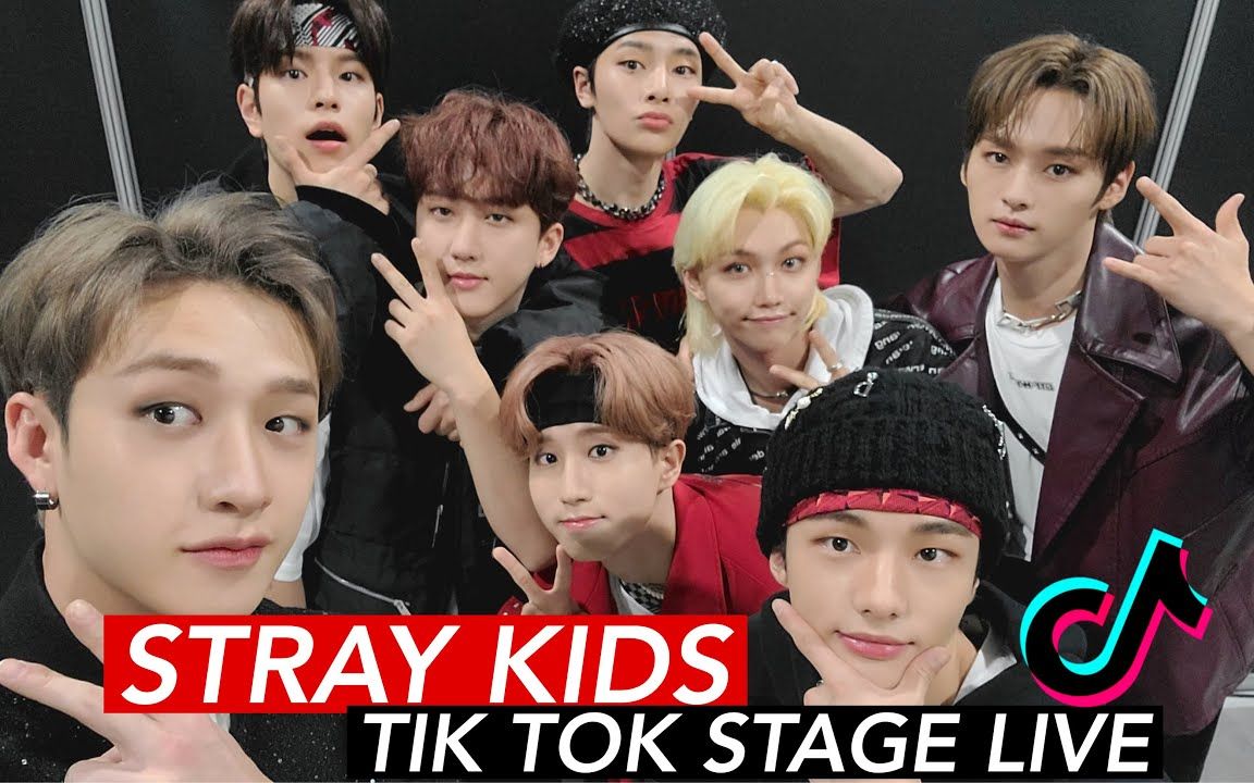 straykids tiktok stage | back door&domino &the view&thunderous