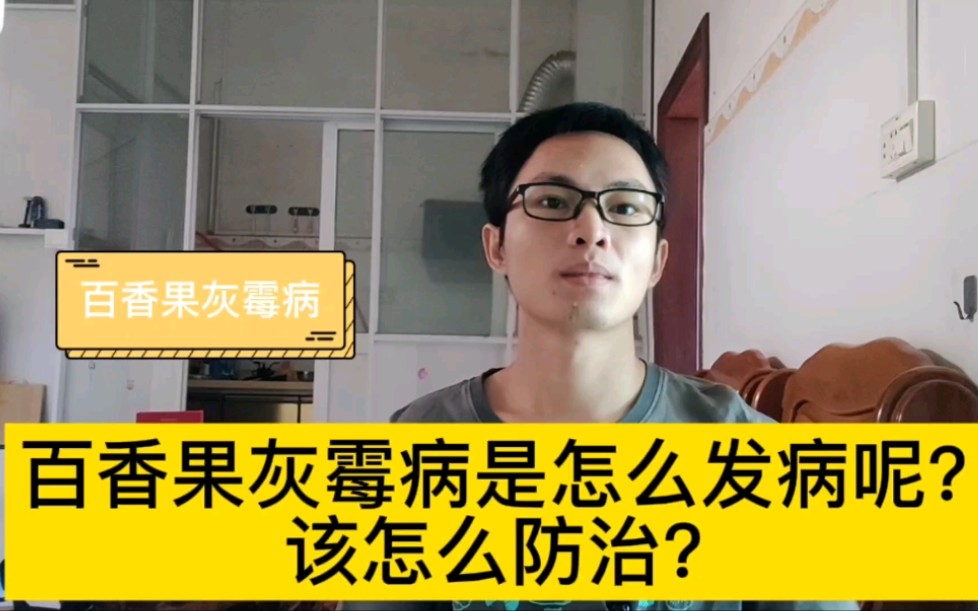 百香果灰霉病是怎么发病的?该怎么防治?哔哩哔哩bilibili