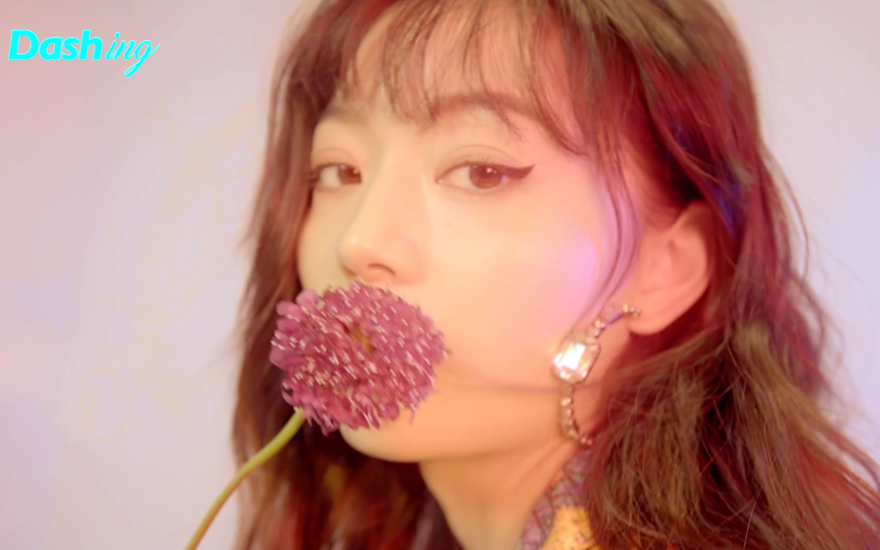 dashing花与李李奉时尚大片