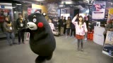 KUMAMON的海洋堂卖萌之旅哔哩哔哩bilibili