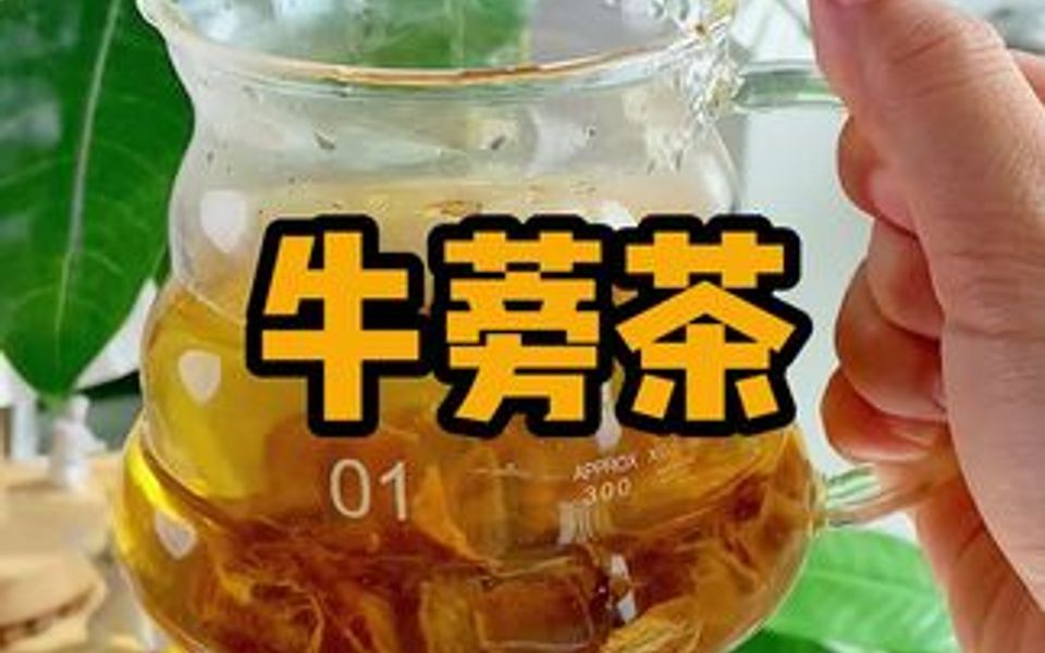 王老吉牛蒡茶~秋冬必备养生茶,清火排毒的一把好手哔哩哔哩bilibili