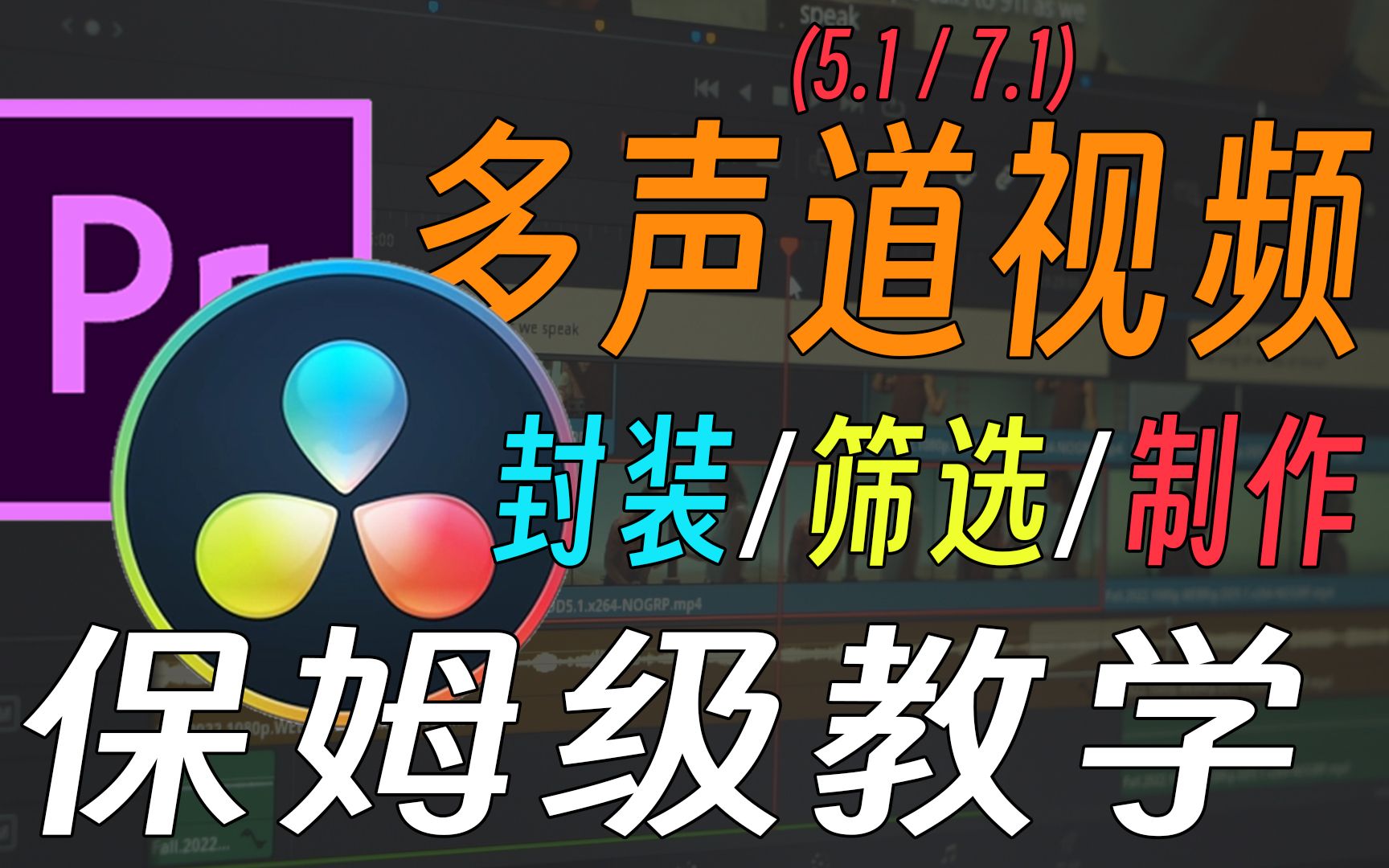 【保姆级教程】达芬奇/PR 如何封装、筛选、制作5.1/7.1声道视频