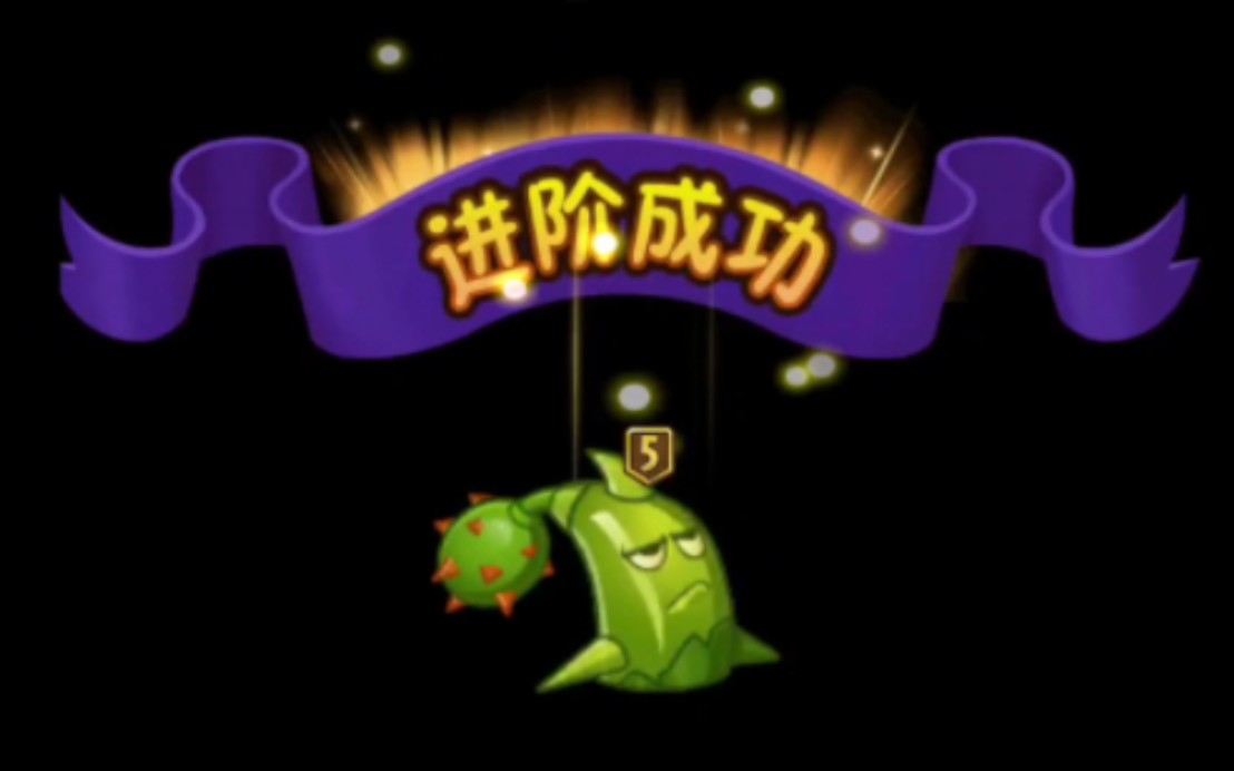 植物大战僵尸2:双十一心愿团购圆满结束,成功拿下五阶刺果流星锤,五阶