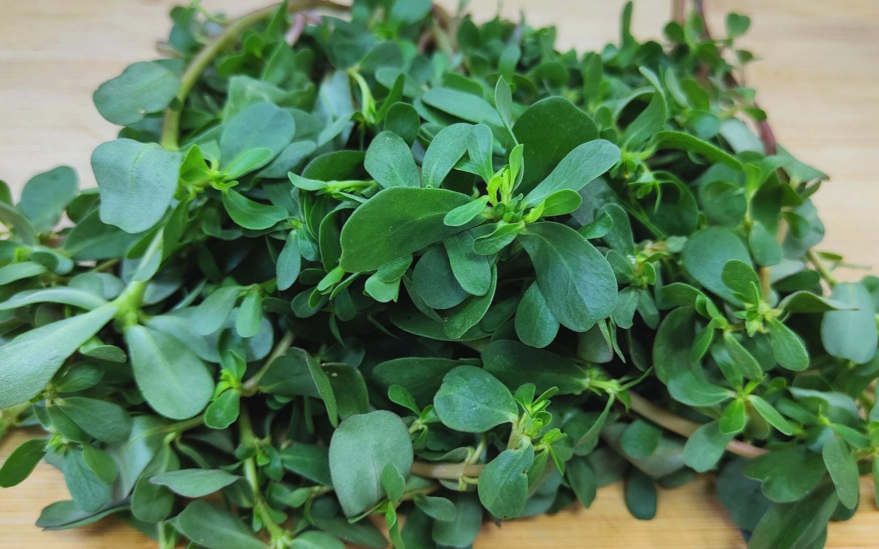 马子汉菜的功效(马子汉菜:美味佳肴,滋补养生)