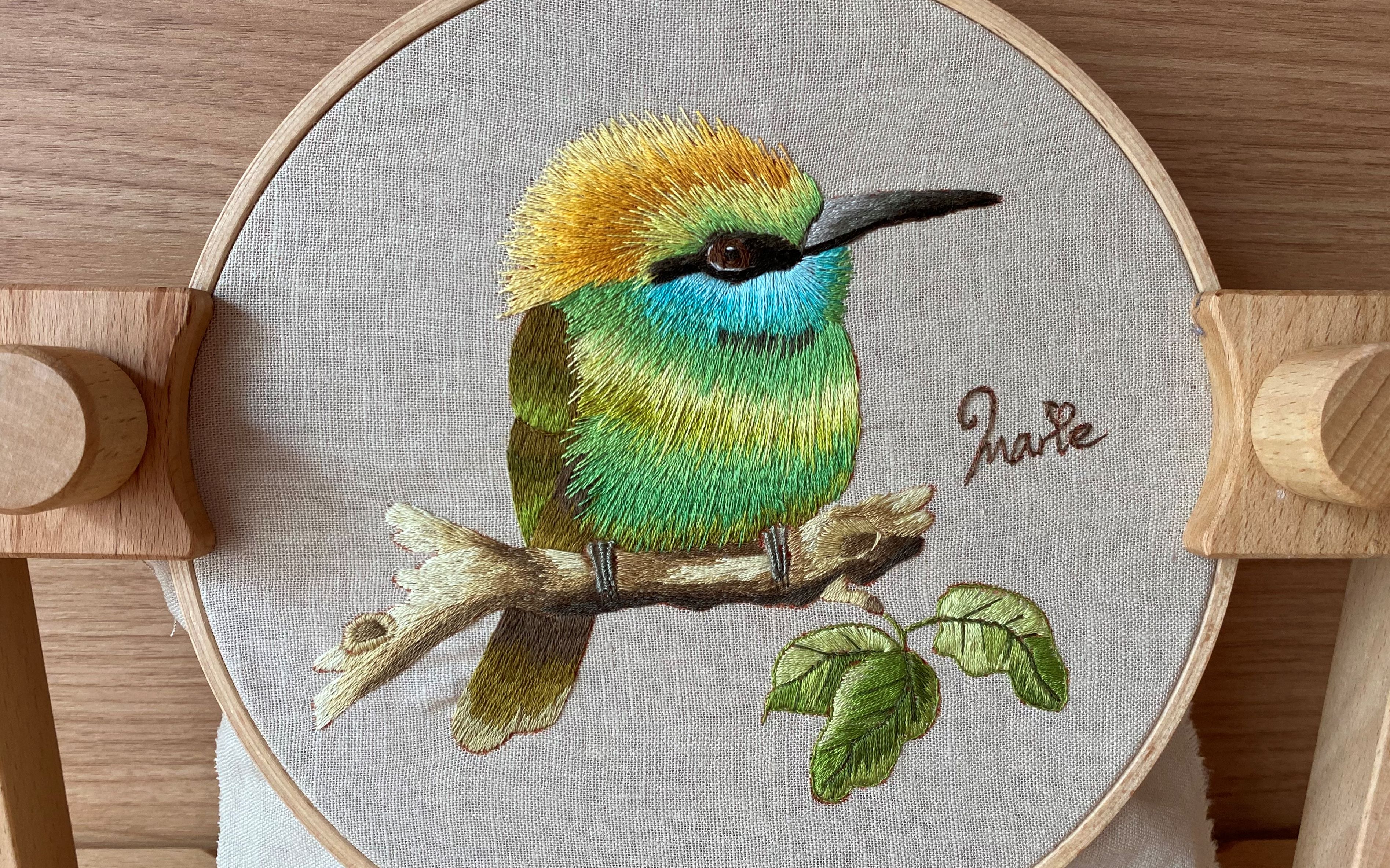 刺绣vlog临摹崔西布尔绿喉蜂虎超治愈超爽的加速过程