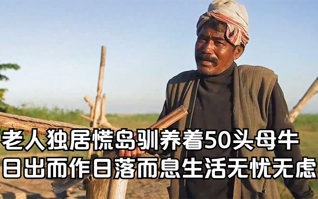 [图]老人独自生活在孤岛上，驯养50头母牛，过着无忧无虑的生活