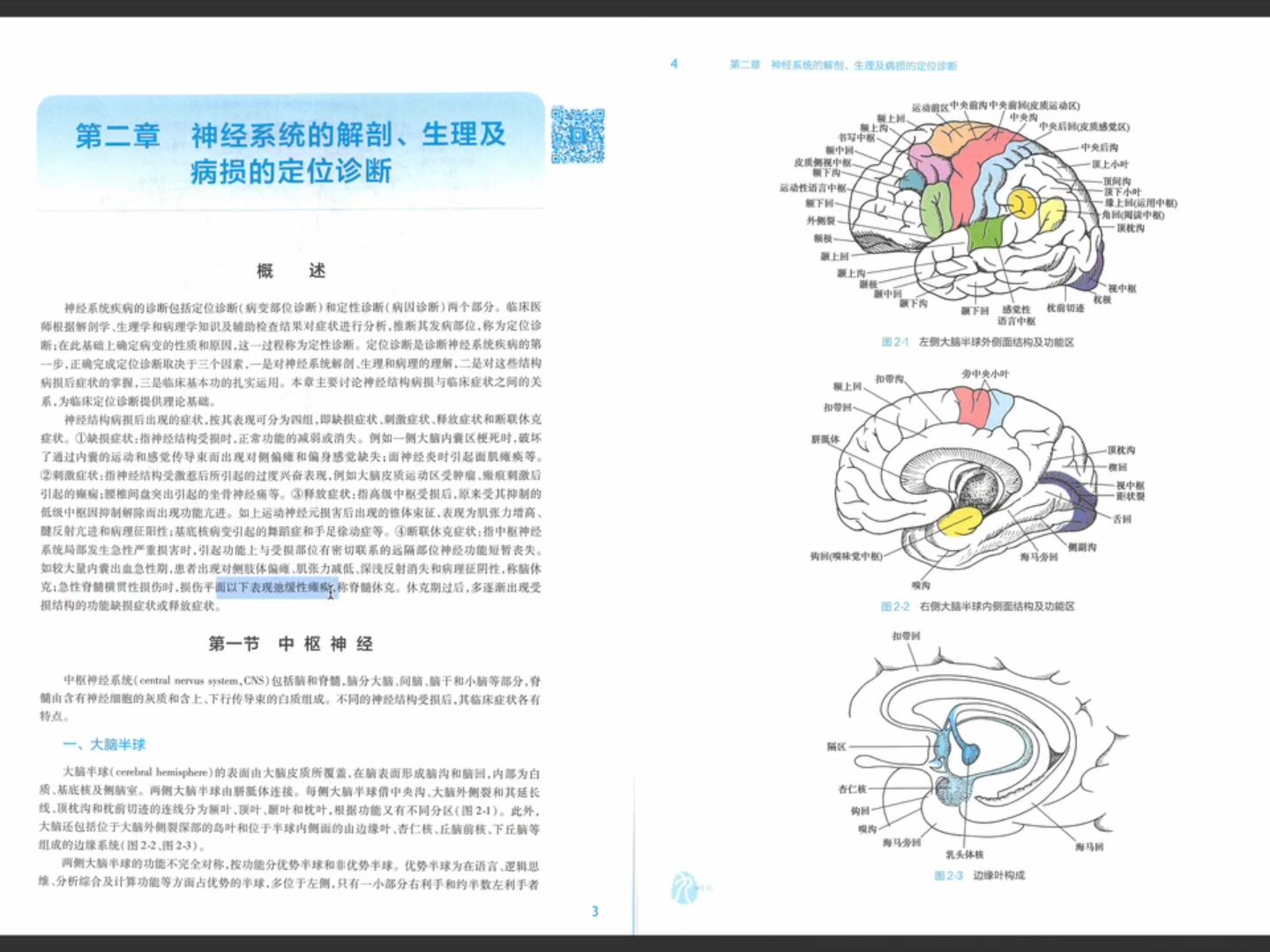 [图]神经病学大脑解剖、生理及定位诊断