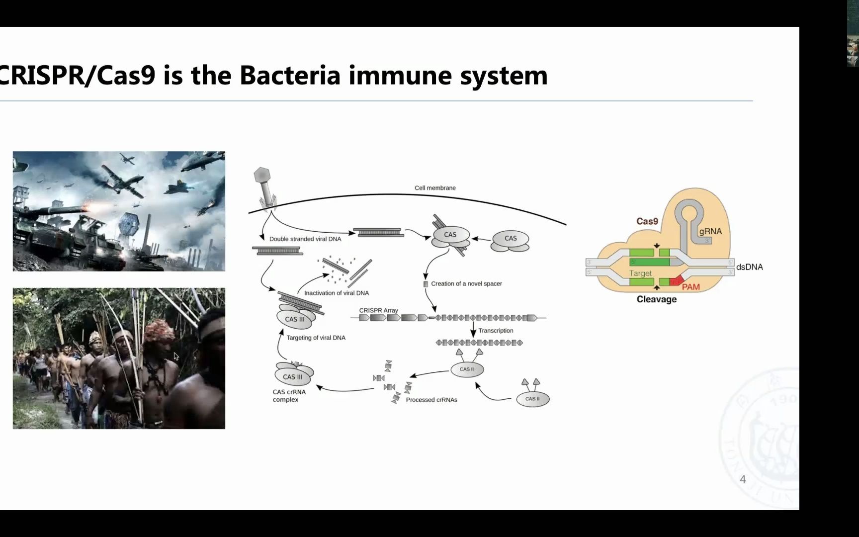 CRISPRscreen及单细胞CRISPR数据分析哔哩哔哩bilibili