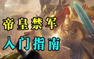 Download Video: 【战锤40K】金甲猛男如何痛击异端？帝皇禁军入坑指南