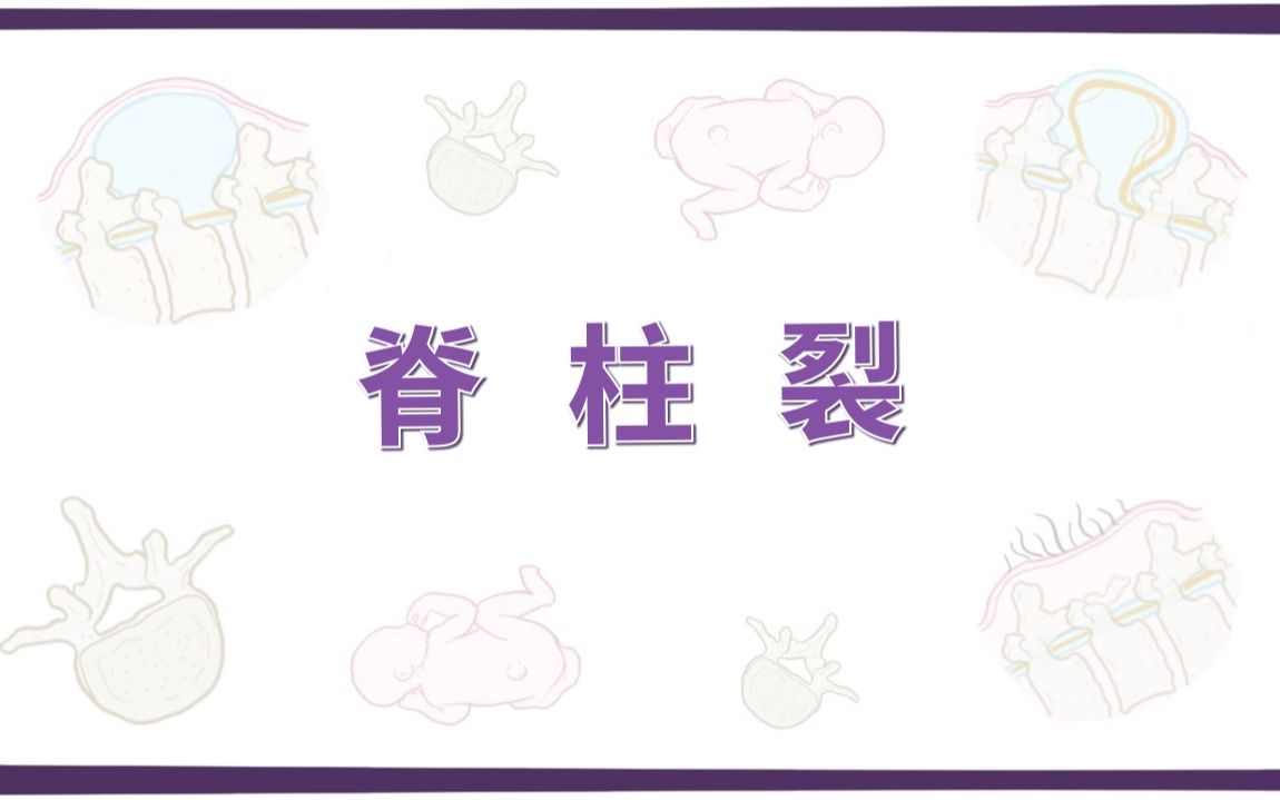 【Osmosis】脊柱裂 Spina Bifida(中英字幕)哔哩哔哩bilibili