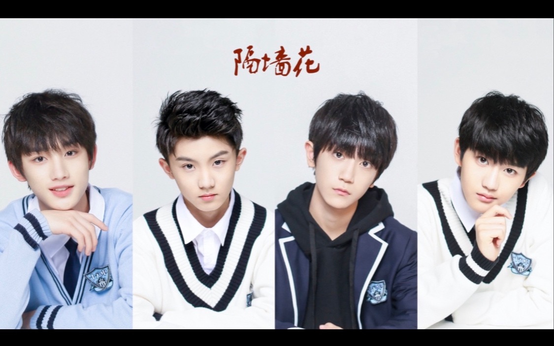 祺鑫嘉泽祺泽宋鑫隔墙花