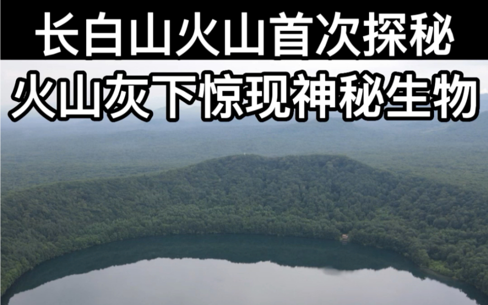 [图]长白山火山首次探秘，火山灰下惊现神秘生物