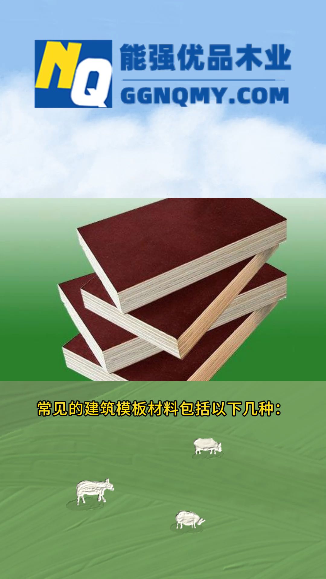 常见的建筑模板材料有哪些?哔哩哔哩bilibili