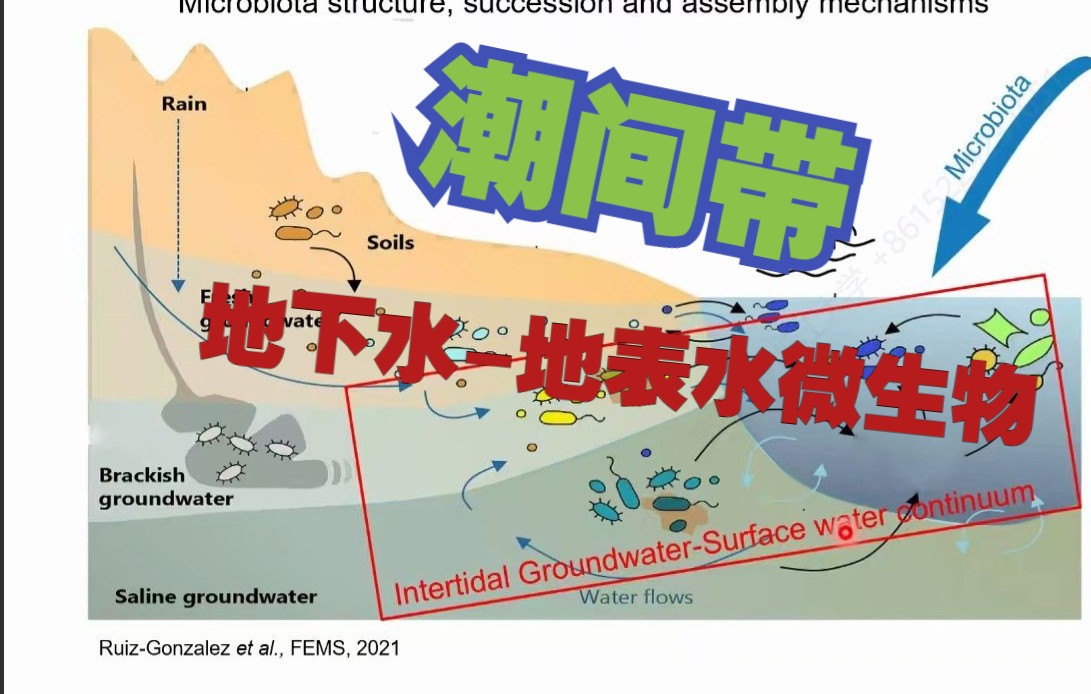 水动力和人为干扰共同影响了潮间带地下水地表水的微生物区系节律和群落模式西湖大学鞠峰组哔哩哔哩bilibili