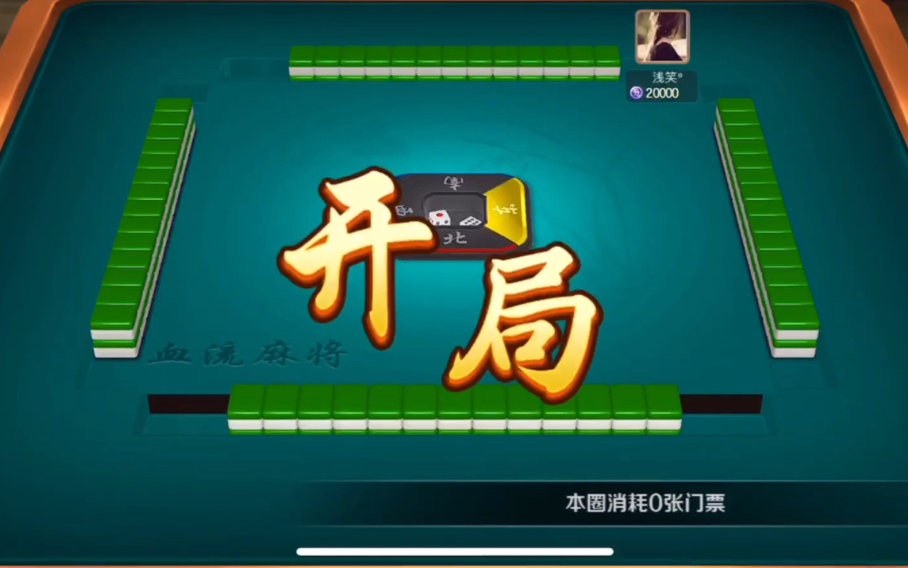 【血流麻将】杠上开花 豪华七对 清一色自摸.