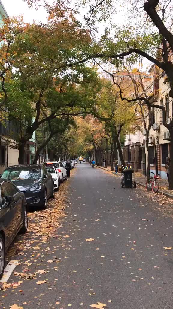 [图]不知不觉已是秋，茫忙碌碌又一年，愿所有的不快都随落叶而去，所有的付出都在这个季节有所收获！70601