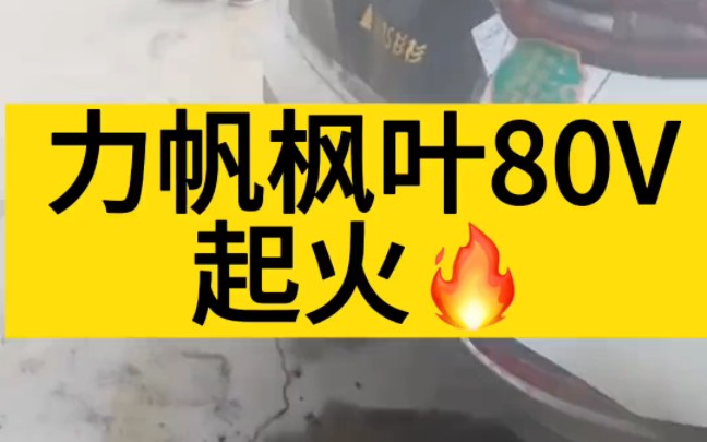 车主发来视频,力帆枫叶80V纯电车型,停放状态下起火了,这损失怎么办?#新能源汽车 #抖音汽车 #新能源 #力帆 #理想l9哔哩哔哩bilibili