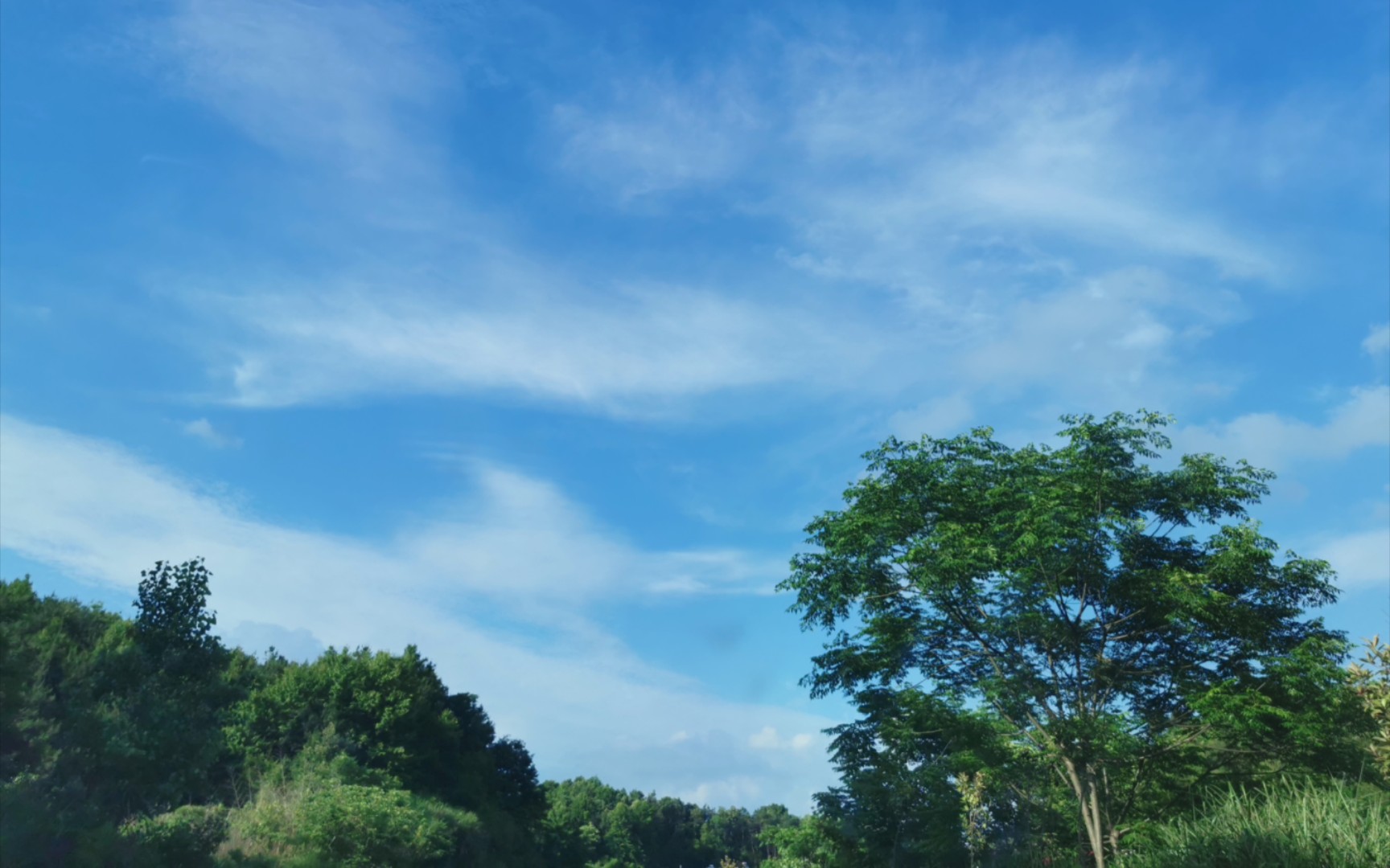 南方乡下的夏天,惬意而美好!