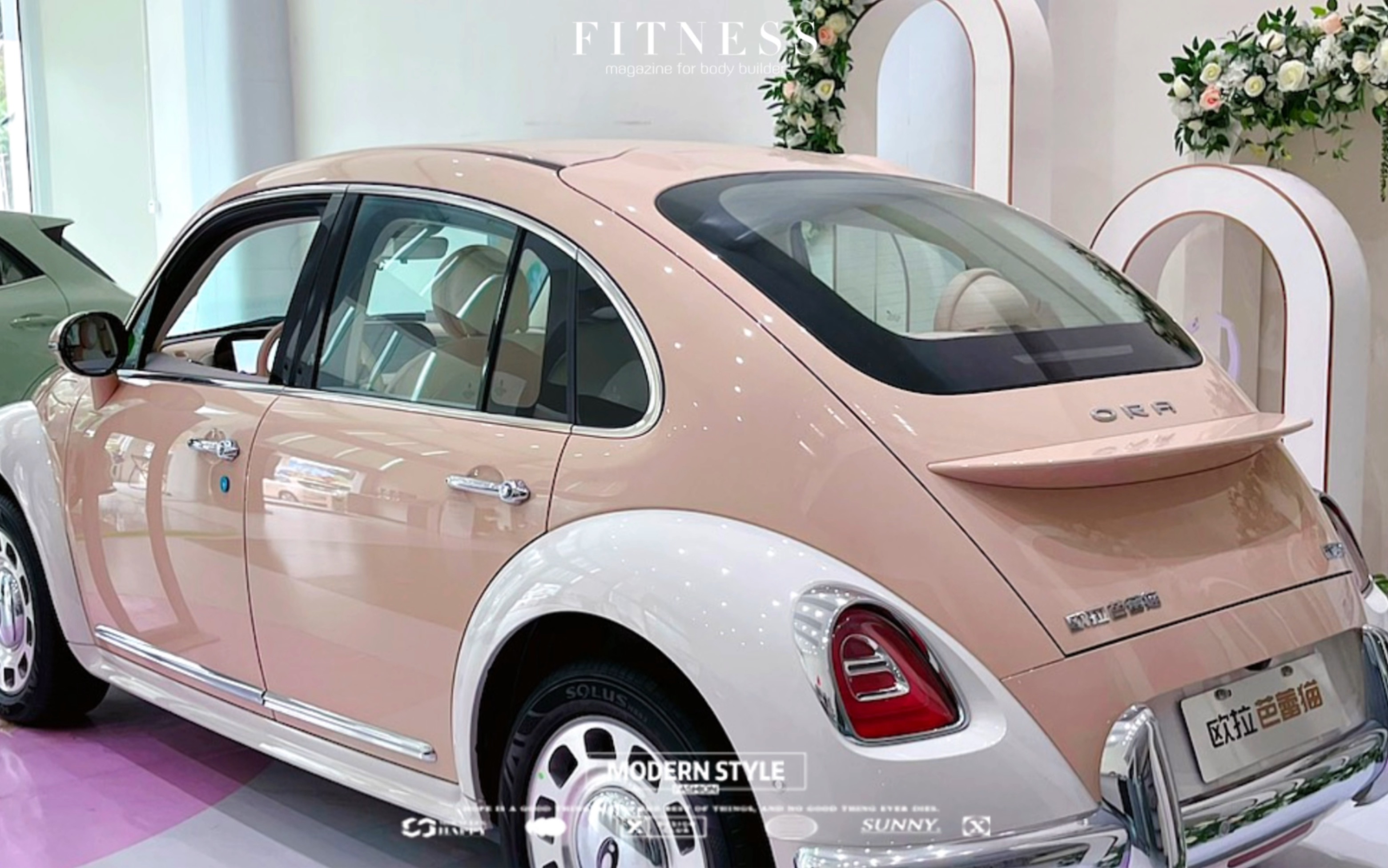 欧拉漂亮研究所#欧拉芭蕾猫@欧拉汽车