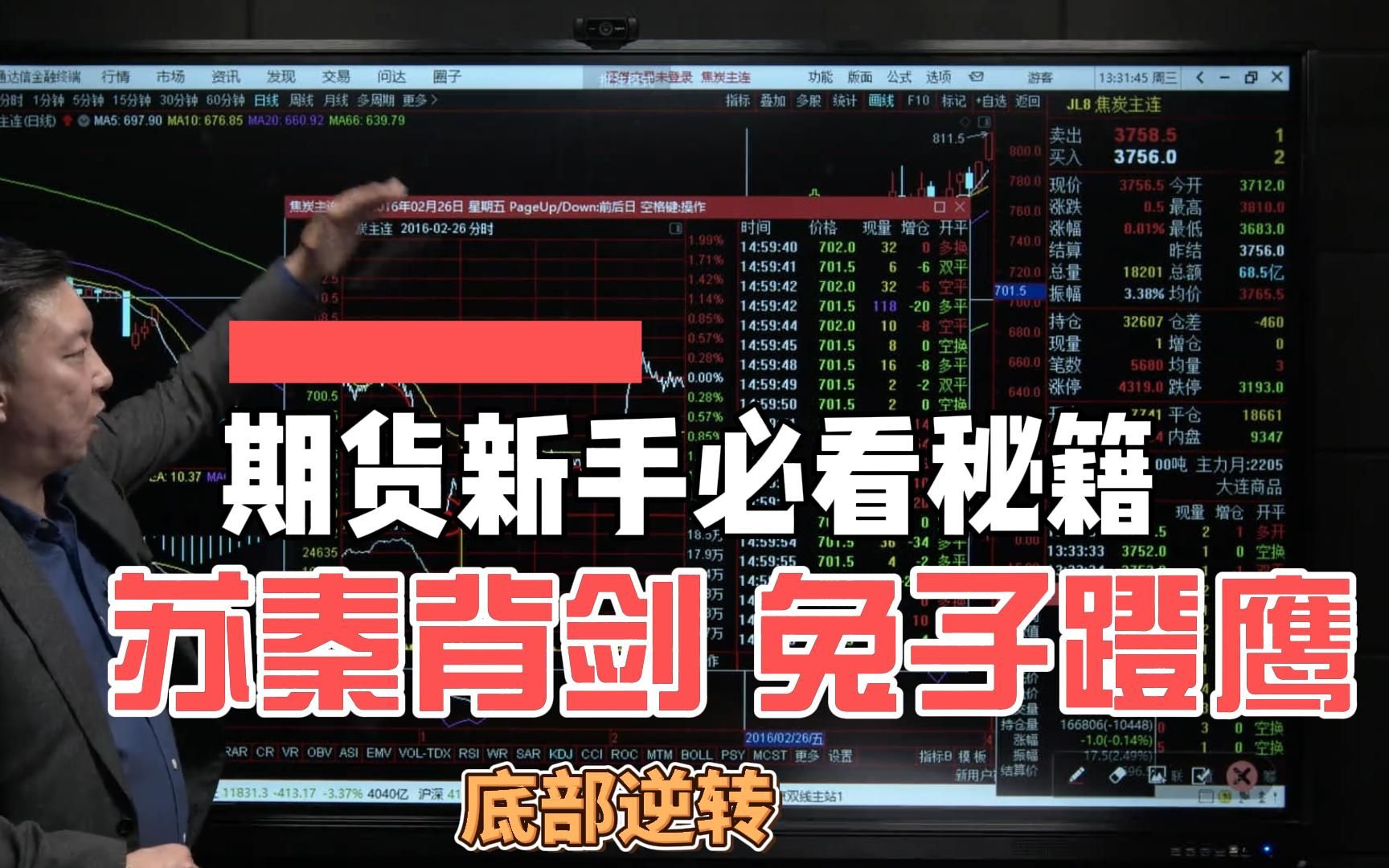 苏秦背剑兔子蹬鹰