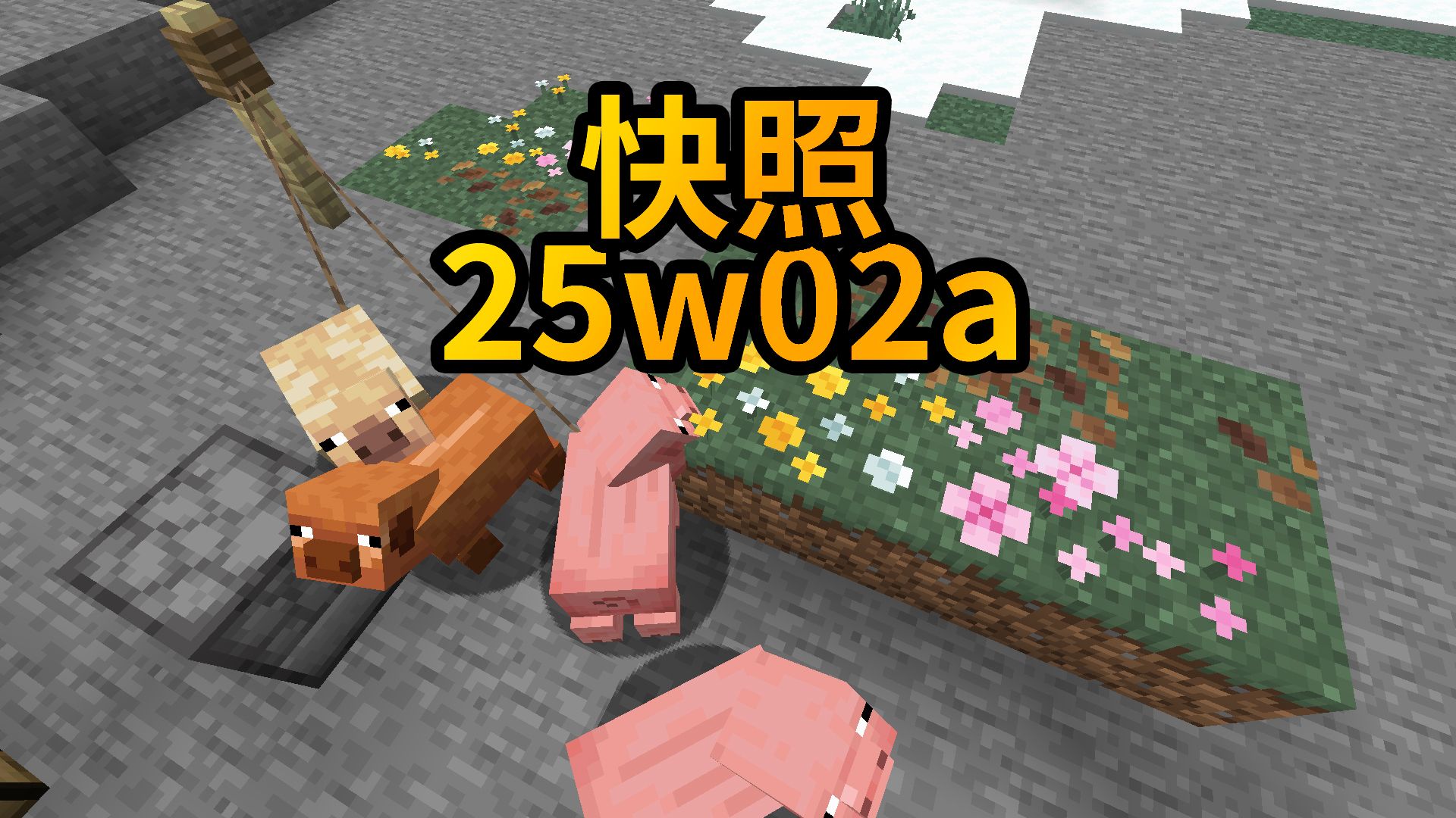 快照25w02a哔哩哔哩bilibili