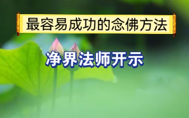 净界法师:最容易成功的念佛方法哔哩哔哩bilibili