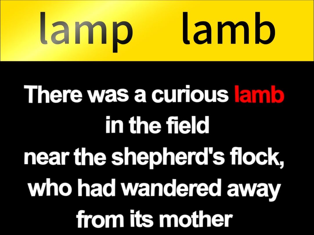 lamp和lamb的区别lamp灯lamb羔羊肉哔哩哔哩bilibili