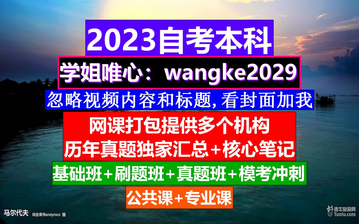 山东省自考本科,自考学历提升,自考大专题库哔哩哔哩bilibili