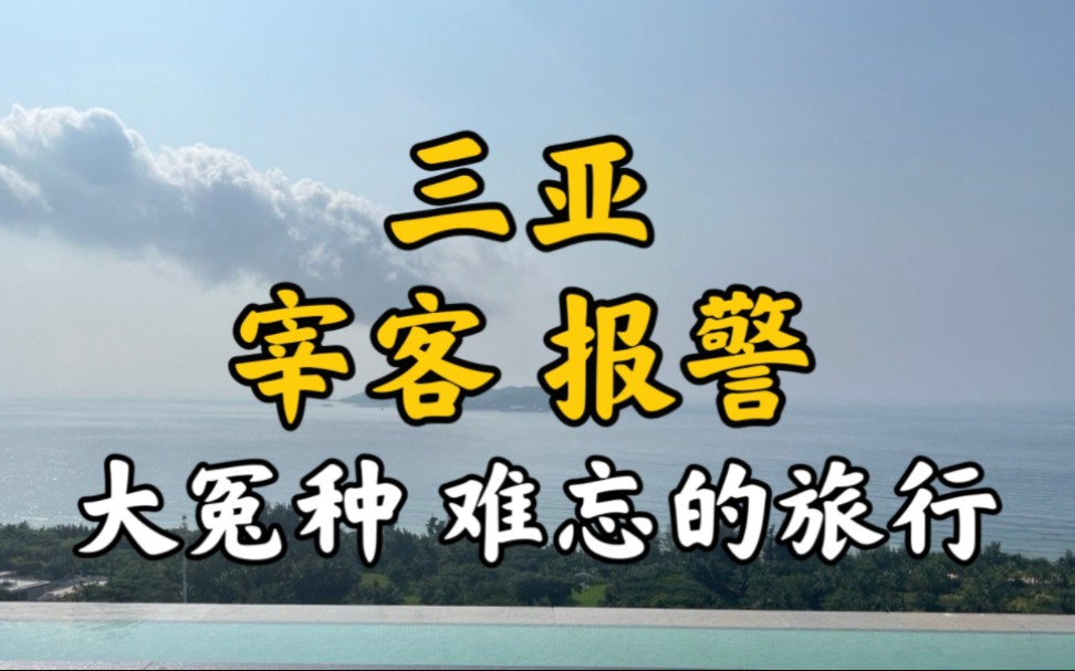 【大冤种旅行】倾吐在三亚被宰的经历,体验人生第一次报警…哔哩哔哩bilibili