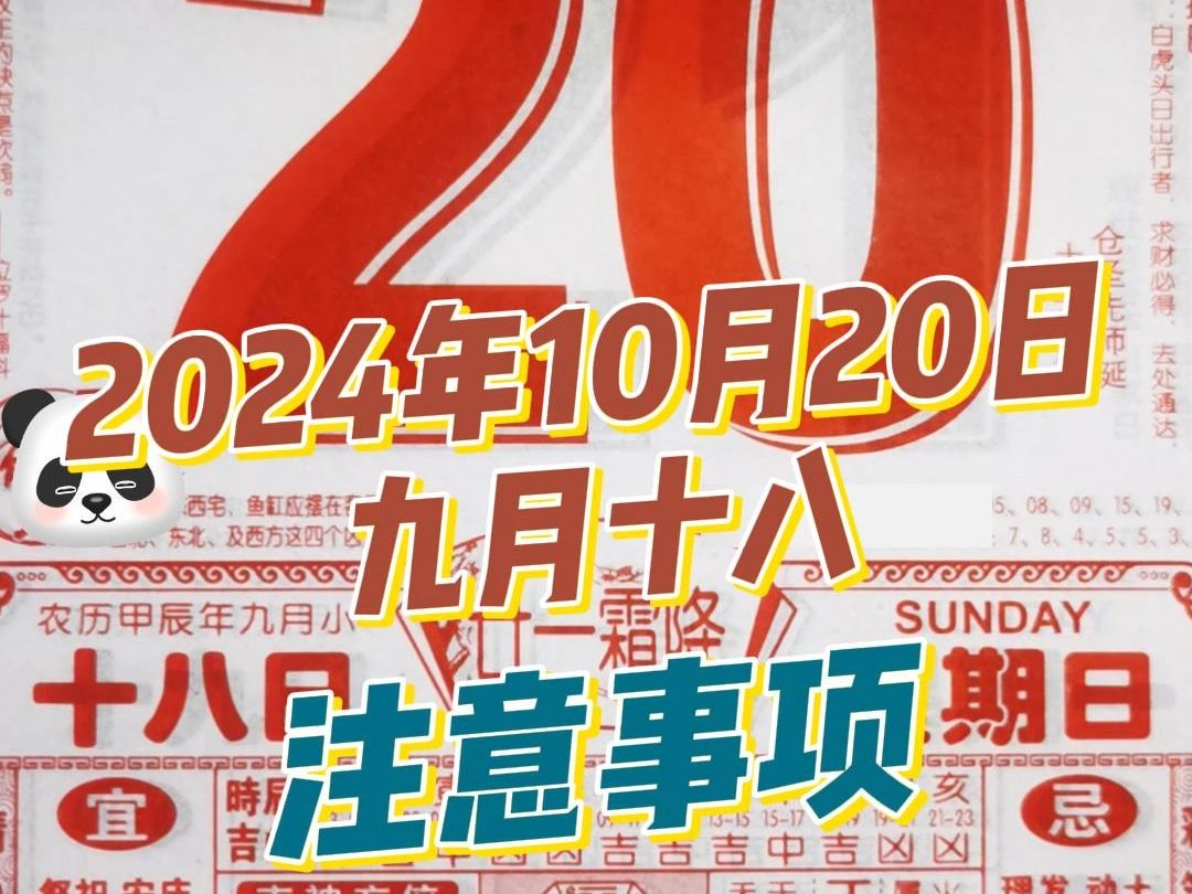 10月20日(农历九月十八)长生教你查黄历解读注意事项及穿搭 精简版 下午完全版哔哩哔哩bilibili