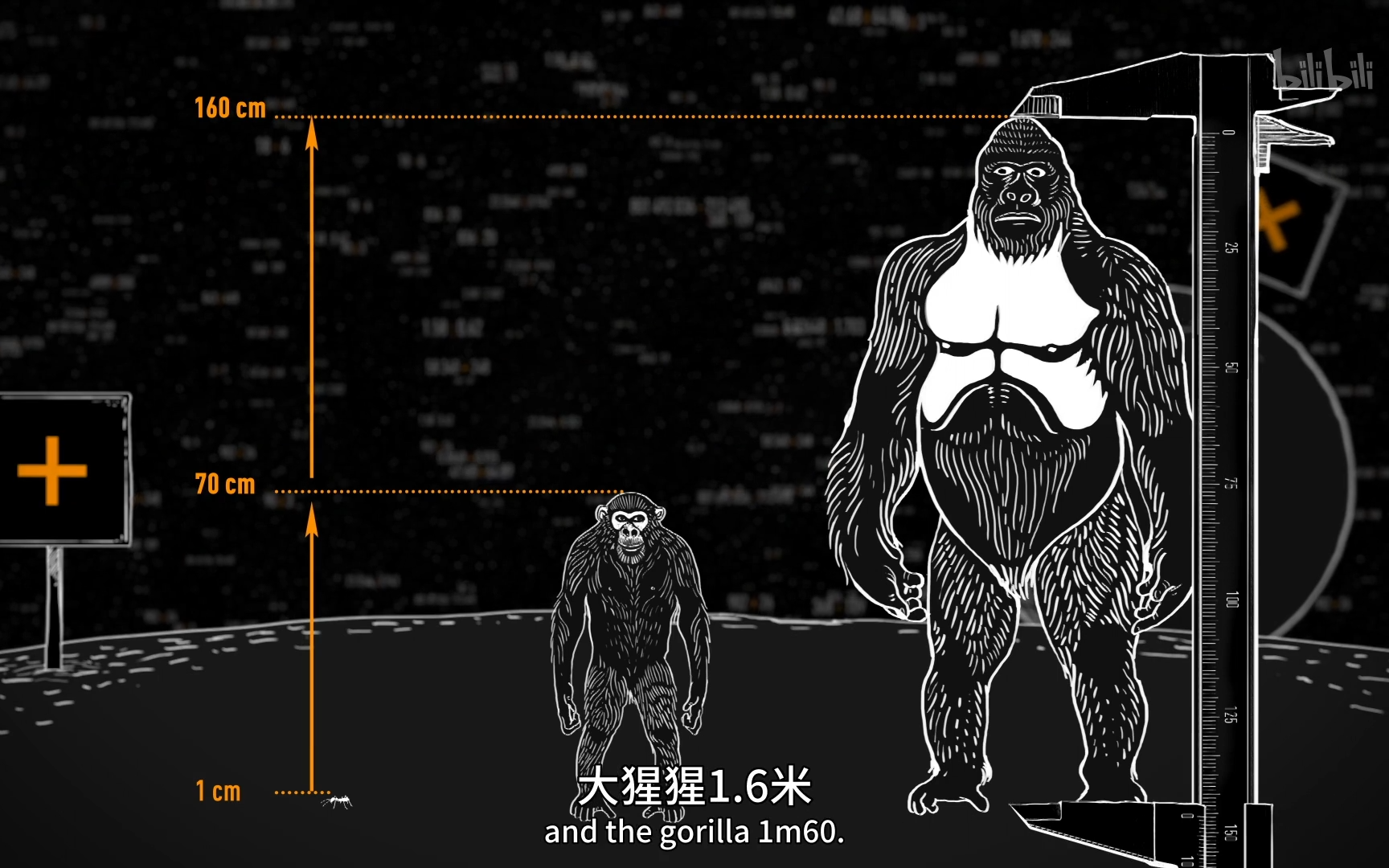 [图]【数学漫步之旅】看点2：同样的模式无处不在-竖版