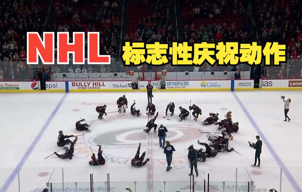 NHL标志性庆祝动作 | NHL Signature Celebrations哔哩哔哩bilibili