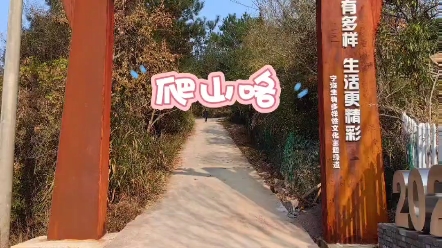 宁海登山步道～杜鹃山