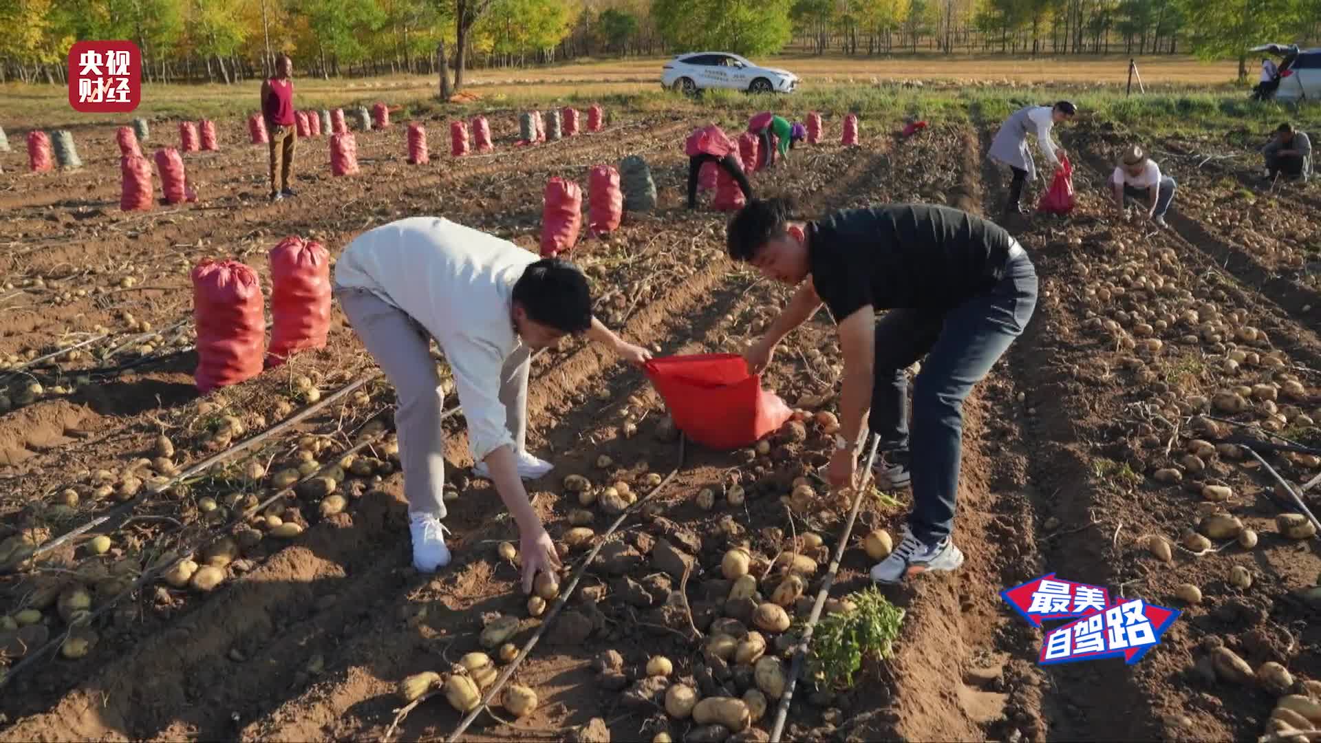 [图]央视财经《最美自驾路》河北：张家口草原天路-3