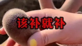 男人过了25就40了