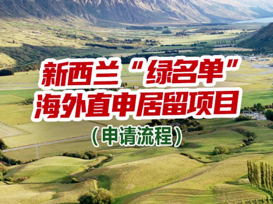 2024.12.1 新西兰“绿名单”海外直申居留项目(申请流程)哔哩哔哩bilibili